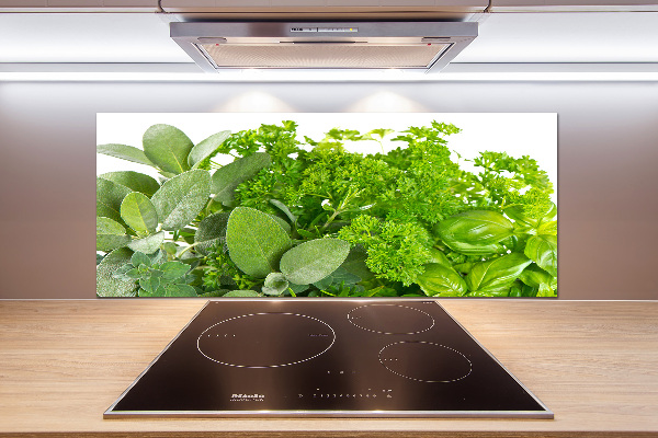 Cooker splashback Herbs