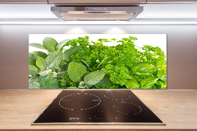 Cooker splashback Herbs