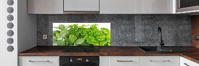 Cooker splashback Herbs