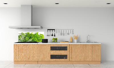 Cooker splashback Herbs