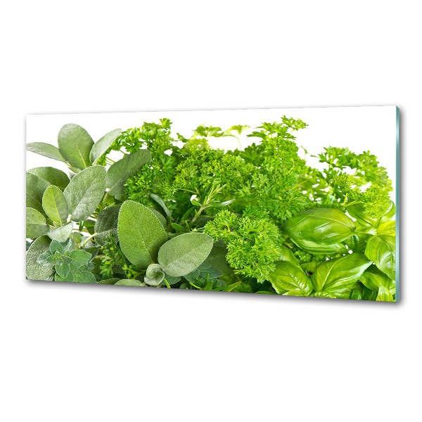 Cooker splashback Herbs