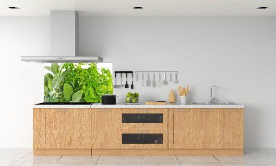 Cooker splashback Herbs