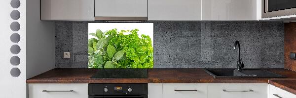 Cooker splashback Herbs