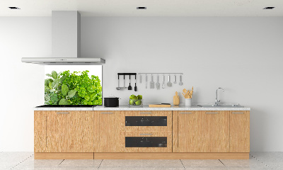 Cooker splashback Herbs