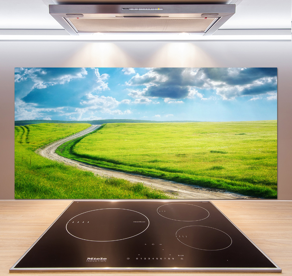 Cooker splashback Path in the meadow