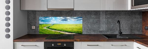 Cooker splashback Path in the meadow