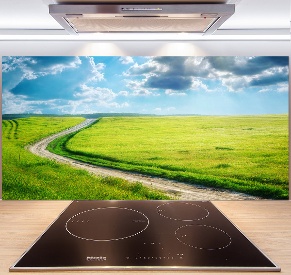 Cooker splashback Path in the meadow