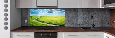 Cooker splashback Path in the meadow