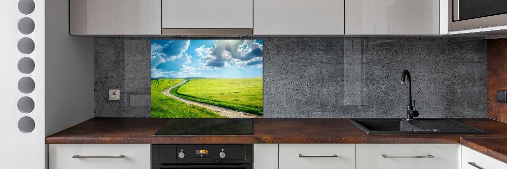 Cooker splashback Path in the meadow