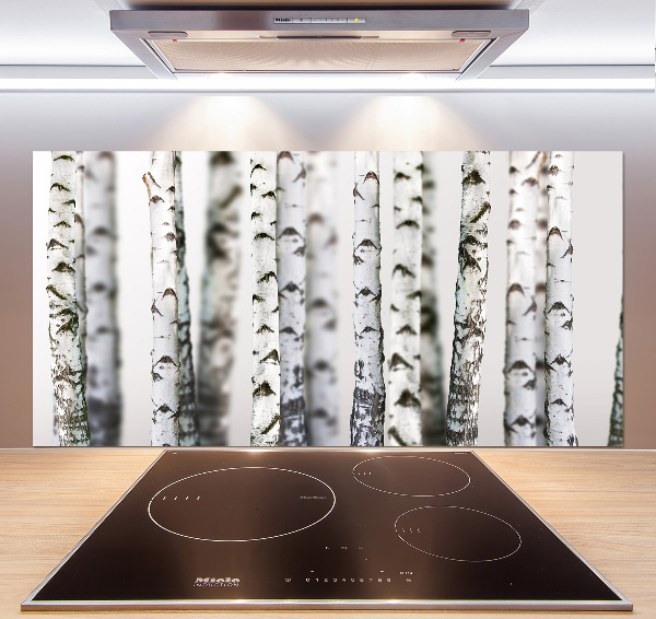 Kitchen splashback Birch trunks