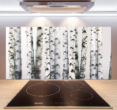 Kitchen splashback Birch trunks