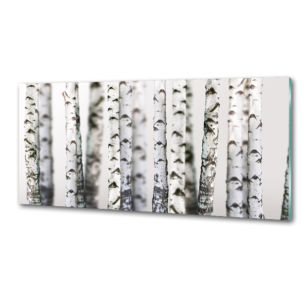 Kitchen splashback Birch trunks