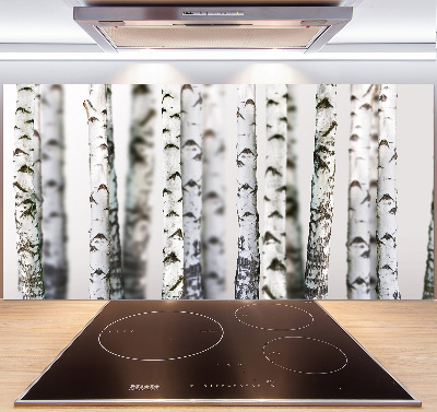 Kitchen splashback Birch trunks