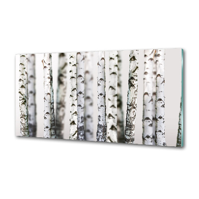 Kitchen splashback Birch trunks