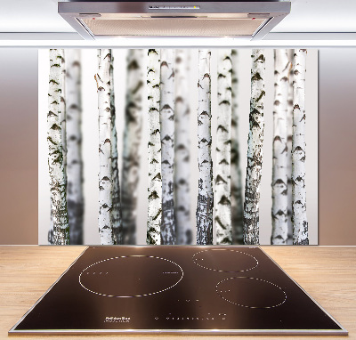 Kitchen splashback Birch trunks