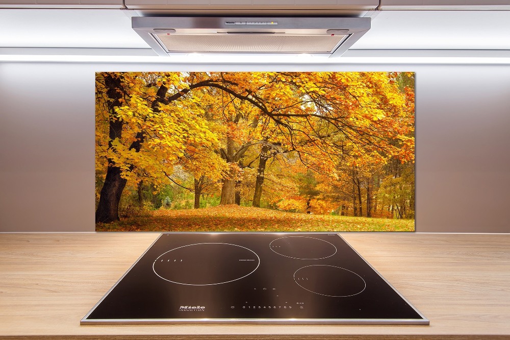 Cooker splashback Autumn in the park