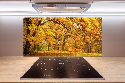 Cooker splashback Autumn in the park