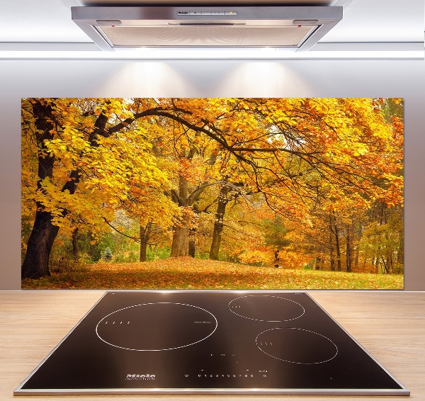 Cooker splashback Autumn in the park