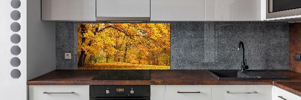 Cooker splashback Autumn in the park