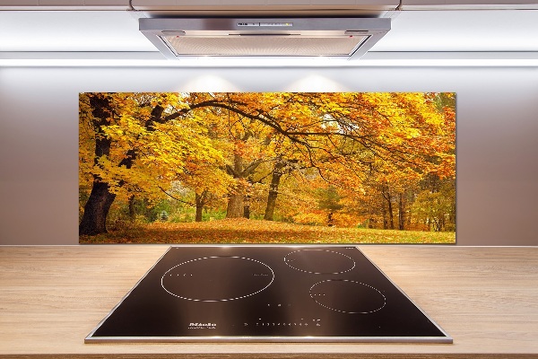 Cooker splashback Autumn in the park