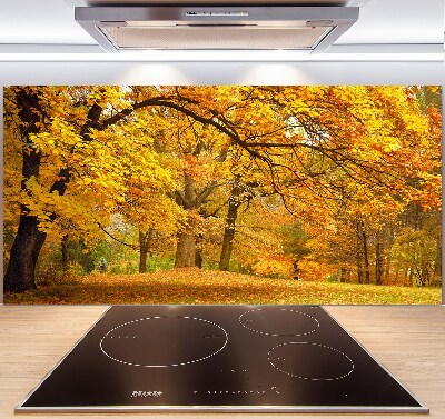 Cooker splashback Autumn in the park