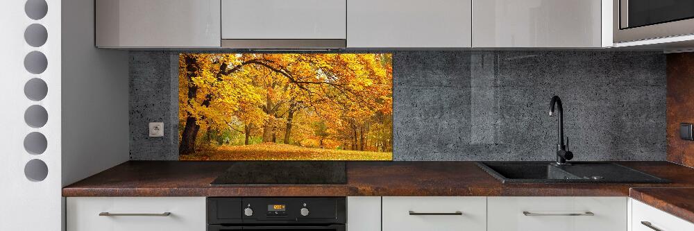 Cooker splashback Autumn in the park