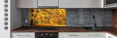 Cooker splashback Autumn in the park