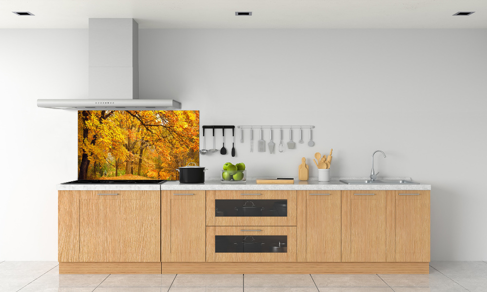 Cooker splashback Autumn in the park