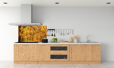 Cooker splashback Autumn in the park