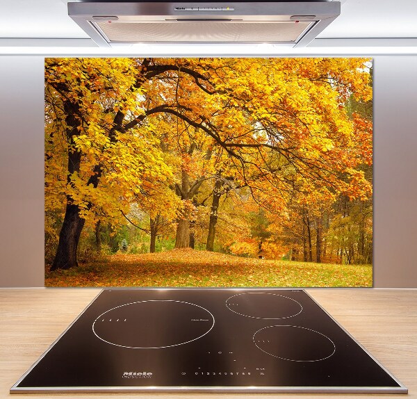 Cooker splashback Autumn in the park