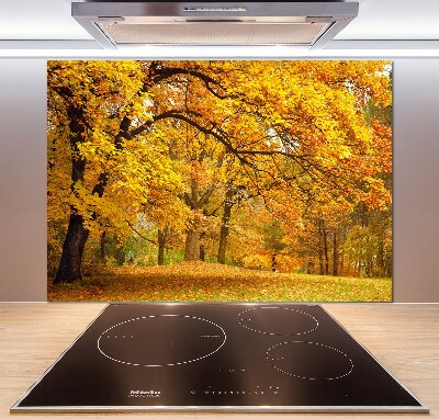 Cooker splashback Autumn in the park