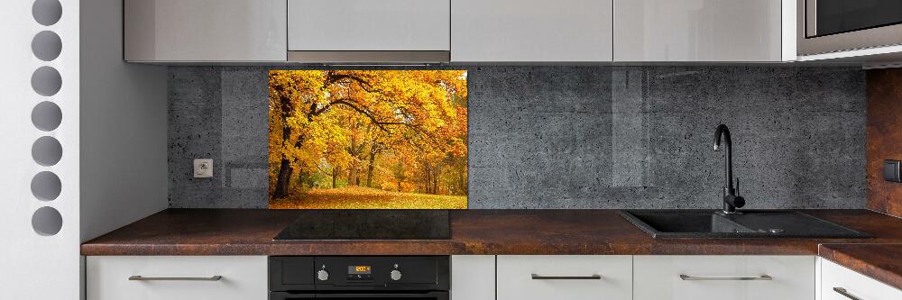 Cooker splashback Autumn in the park