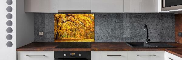 Cooker splashback Autumn in the park