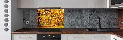 Cooker splashback Autumn in the park