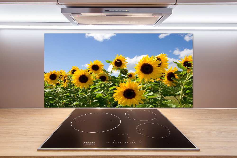 Kitchen splashback Sunflowers