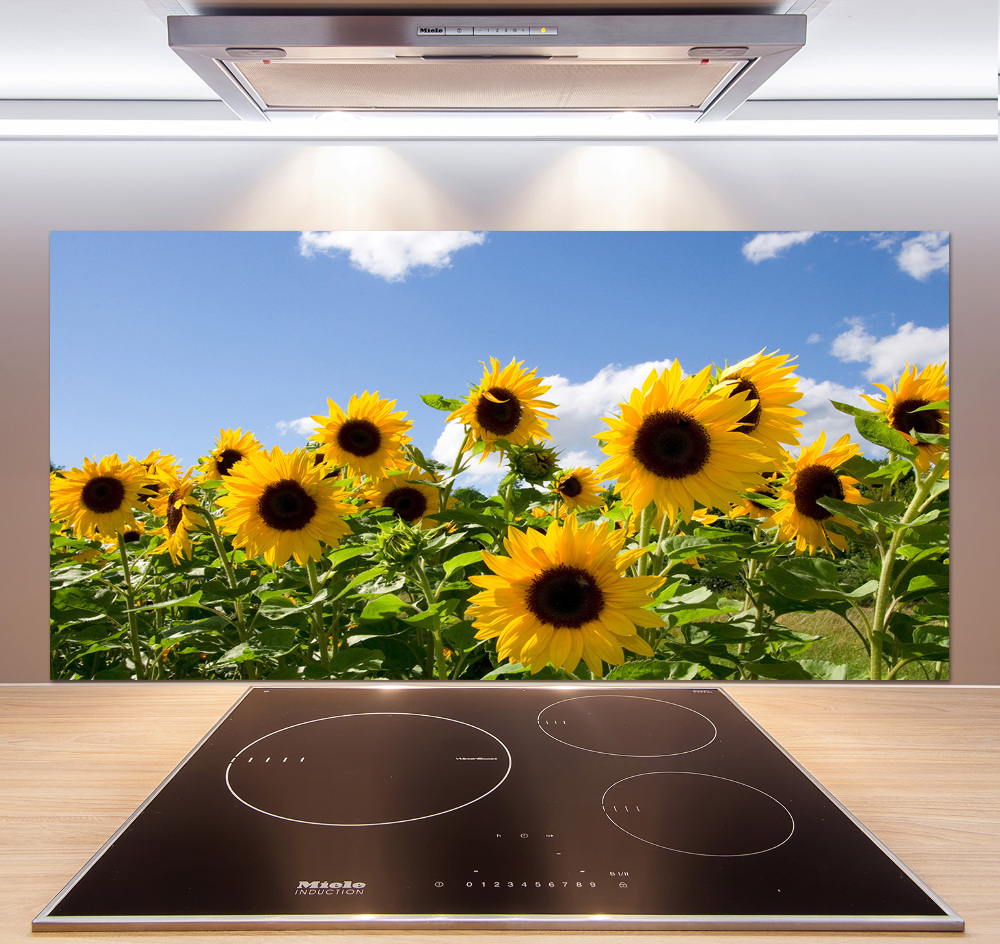 Kitchen splashback Sunflowers