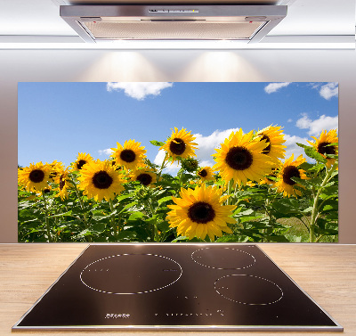 Kitchen splashback Sunflowers