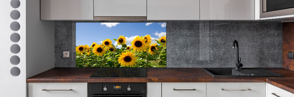 Kitchen splashback Sunflowers