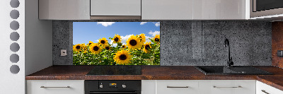 Kitchen splashback Sunflowers