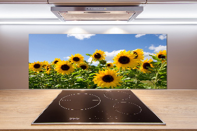 Kitchen splashback Sunflowers