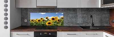 Kitchen splashback Sunflowers