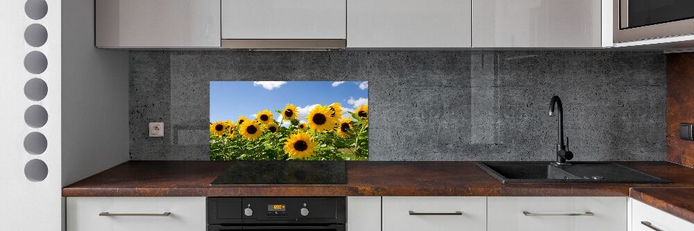 Kitchen splashback Sunflowers