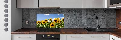 Kitchen splashback Sunflowers