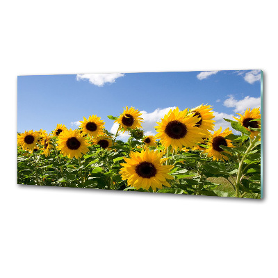 Kitchen splashback Sunflowers