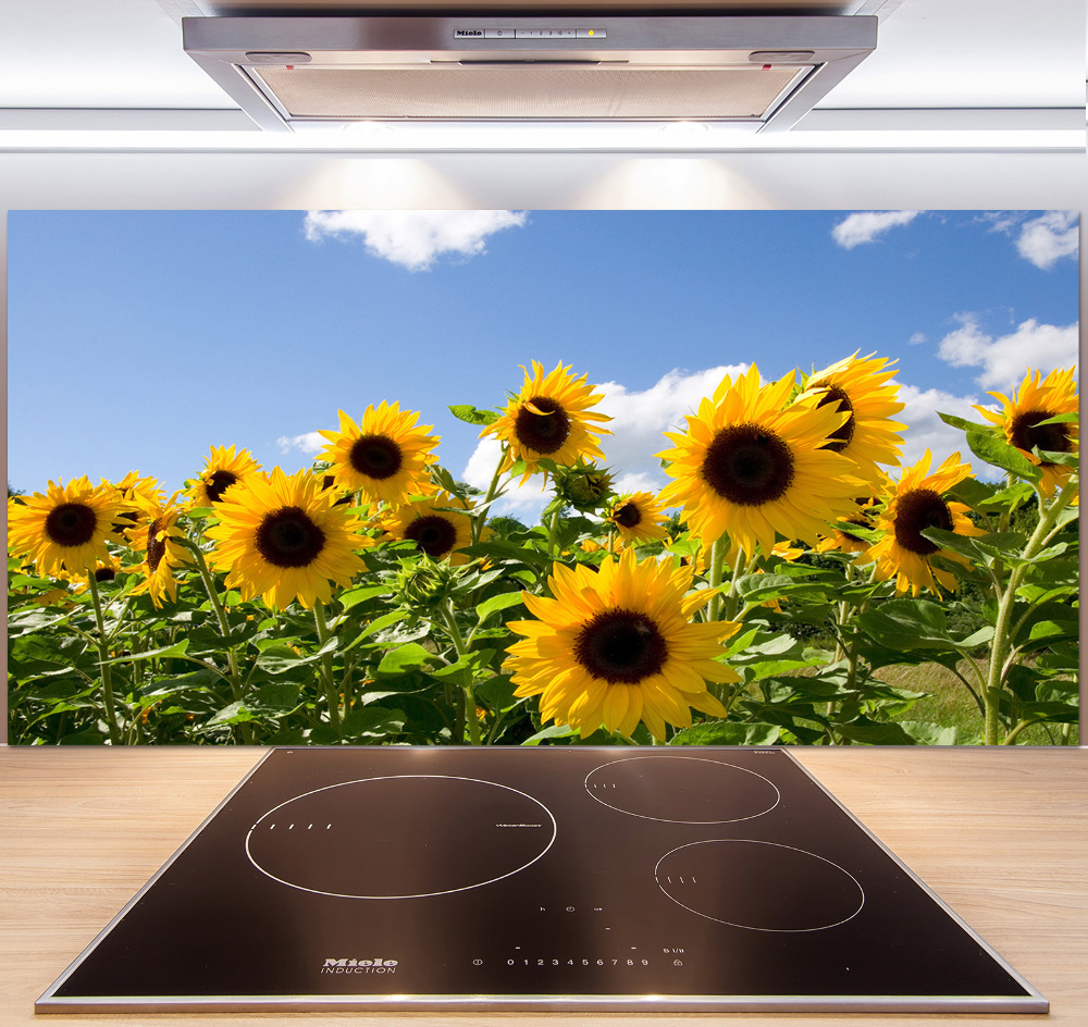 Kitchen splashback Sunflowers