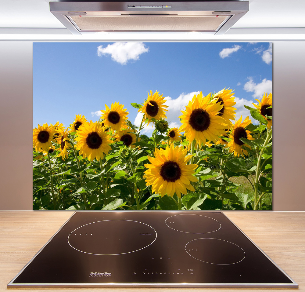 Kitchen splashback Sunflowers