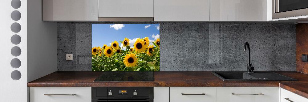 Kitchen splashback Sunflowers