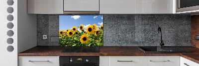 Kitchen splashback Sunflowers