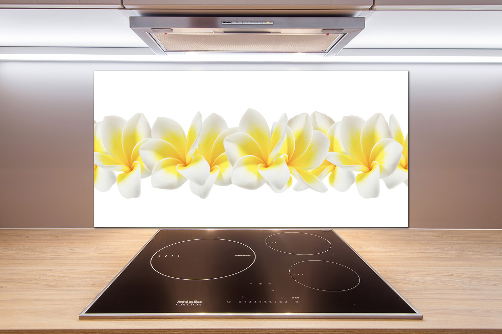 Kitchen splashback Plumeria