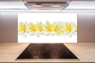 Kitchen splashback Plumeria